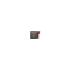Caran d'Ache Chromatics Ink Cartridges, Electric Orange (Box of 6) — detail view 1