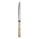 Christofle Jardin d'Eden Partially Gilded Silver Plated Dinner Knife in silver-plate on a white background