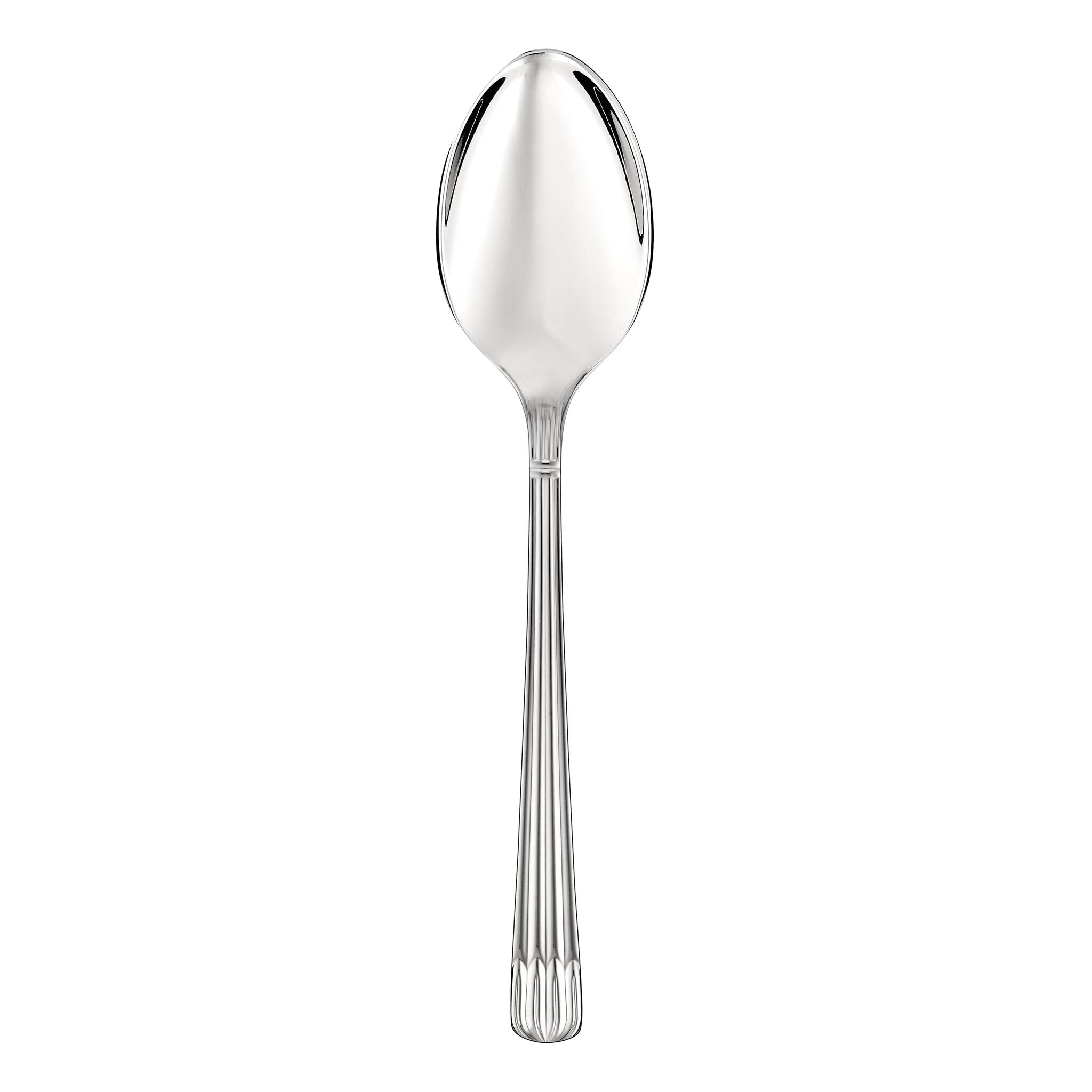 Christofle Osiris Stainless Steel Serving Spoon in stainless steel on a white background