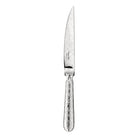 Christofle Jardin d'Eden Silver-Plated Steak Knife in silver-plate on a white background
