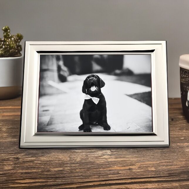 Cunill Hampton Sterling Silver 5x7 Picture Frame — additional view