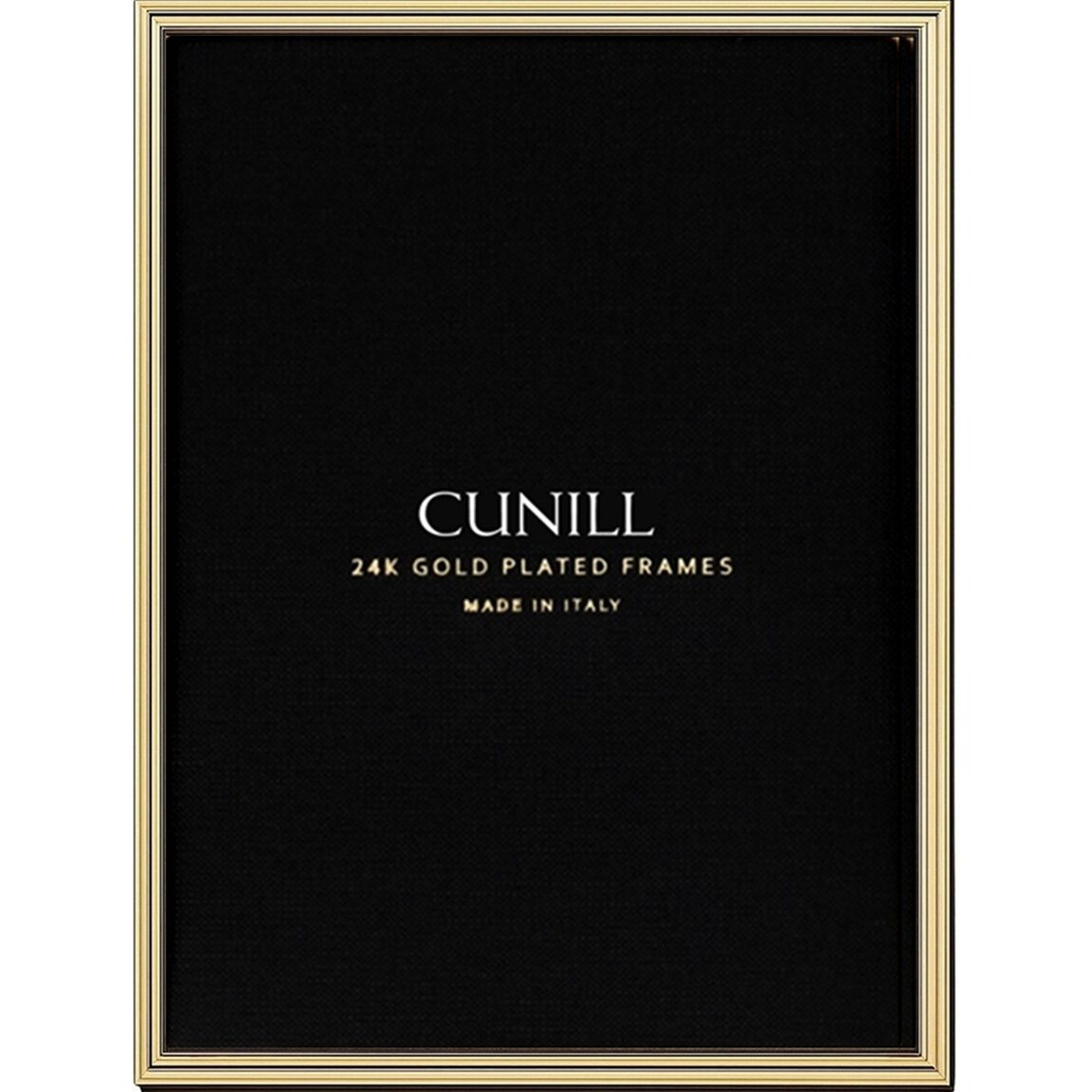 Cunill Lenora 24k Gold Plated 8x10 Picture Frame, 24k gold plated picture frame, on a white background