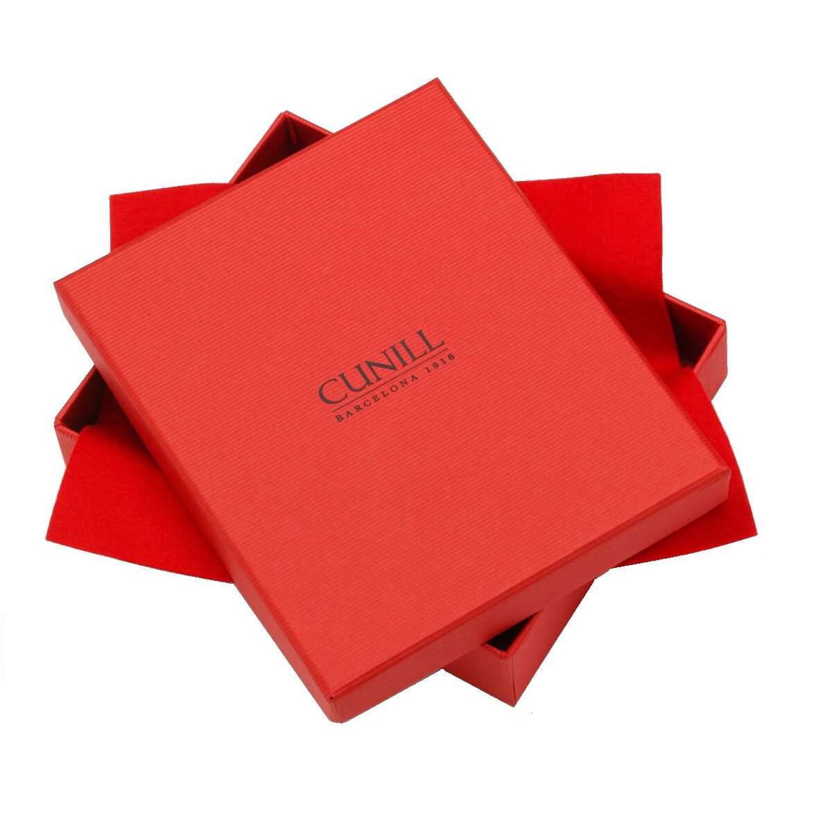 Cunill Tiffany Plain Non-Tarnish Sterling Silver Double 4x6 Folding Frame — additional view