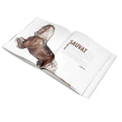 Daum Book Daum Collabs in Crystal Art Cover Sculpture – "Paris with Love Kongo", alternate view