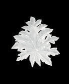 Daum Bornéo Small Wall Leaf Fixing By Emilio Robba Wall Sculpture — long White