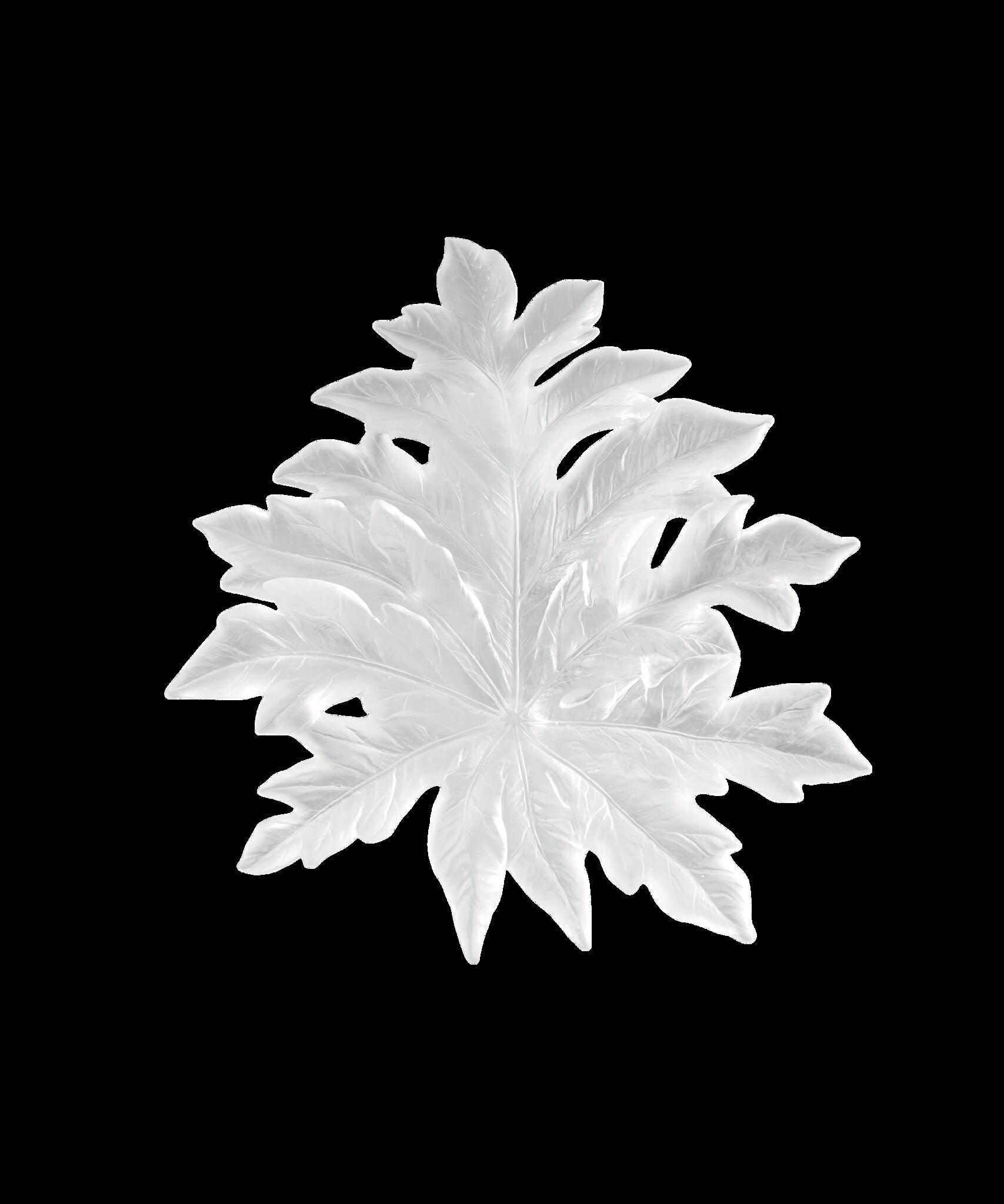 Daum Bornéo Small Wall Leaf Fixing By Emilio Robba Wall Sculpture — long White