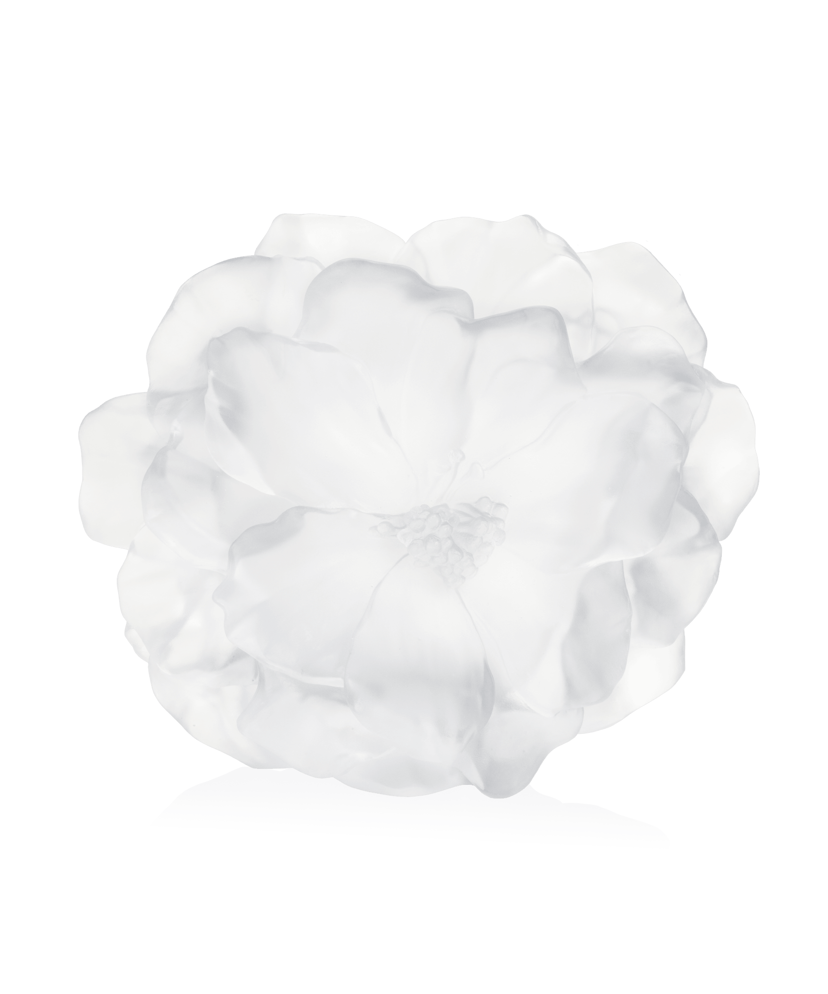 Daum Camelia Large Vase — White