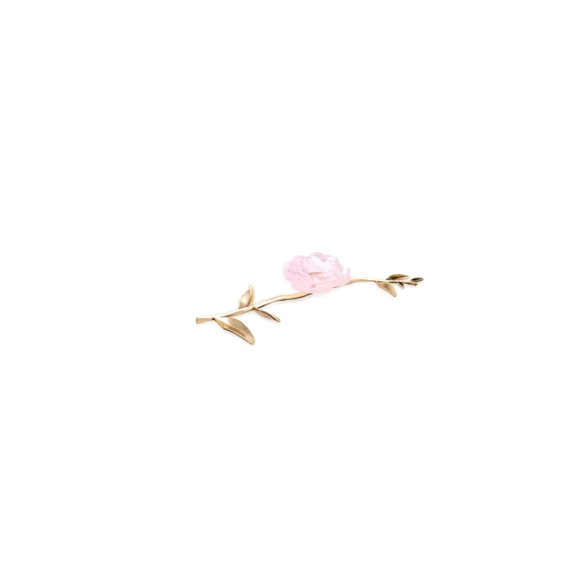Daum Camelia Ornamental Flower Pink, alternate view