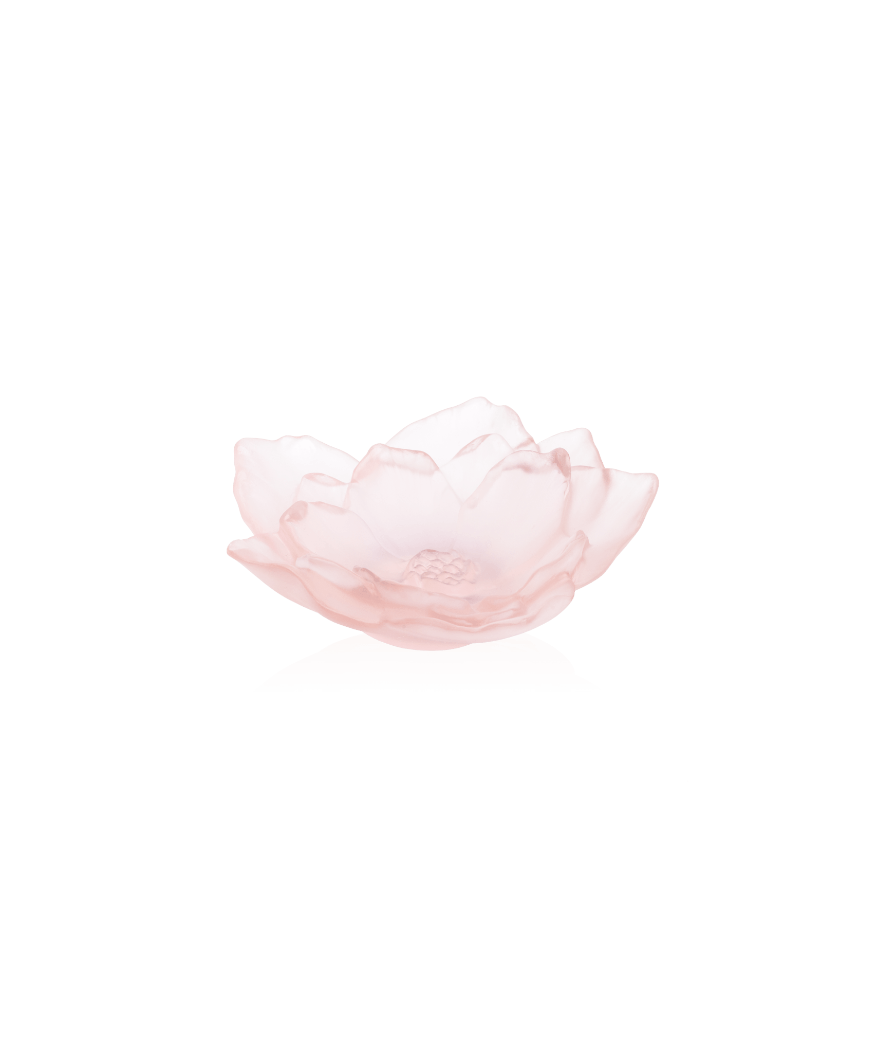 Daum Camelia Small Bowl Vase — Pink