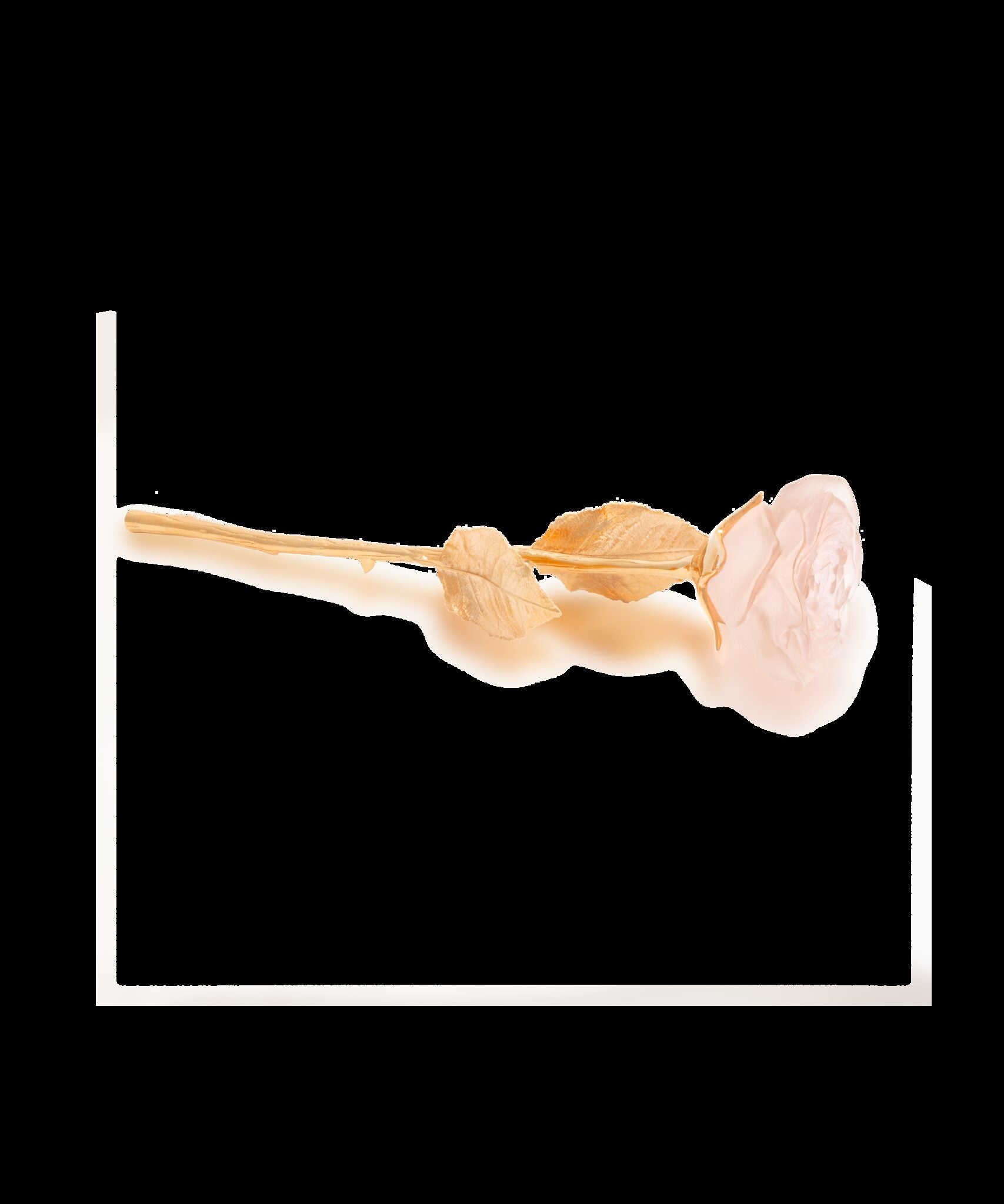 Daum Eternal Rose Sculpture — Powder pink
