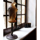 Daum Faucon Gerfaut By Madeleine Van Der Knoop Sculpture – Amber pink 125ex, alternate view