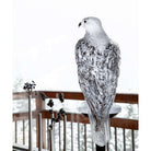 Daum Faucon Gerfaut By Madeleine Van Der Knoop Sculpture – White 50ex, alternate view