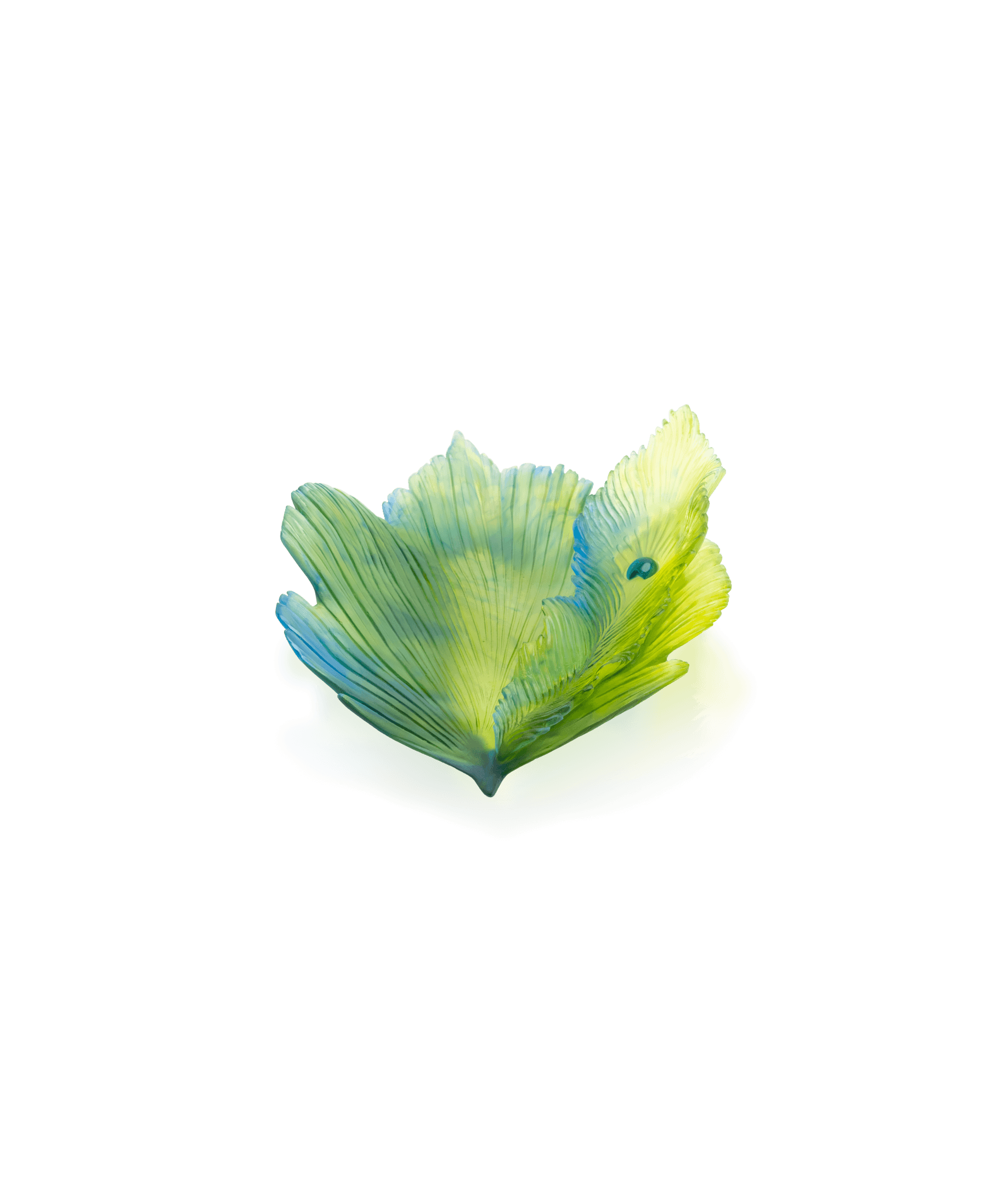 Daum Fleur De Paon Medium Bowl — Exotique