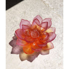 Daum Jardin De Lotus Decorative Flower Sculpture – Amber pink, alternate view