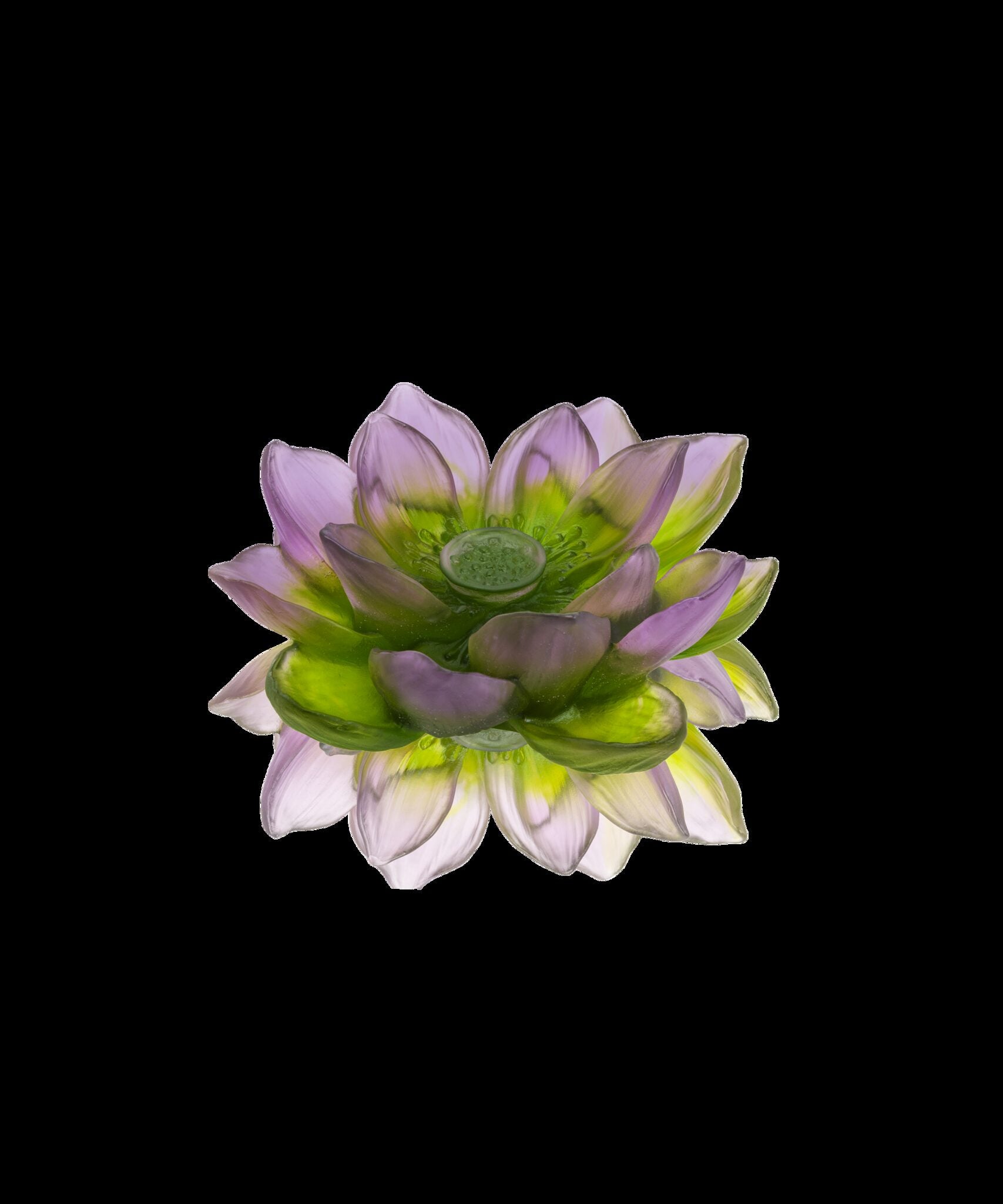 Daum Jardin De Lotus Decorative Flower Sculpture — Purple green