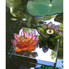 Daum Jardin De Lotus Incense Holder Candleholder – Amber pink, alternate view