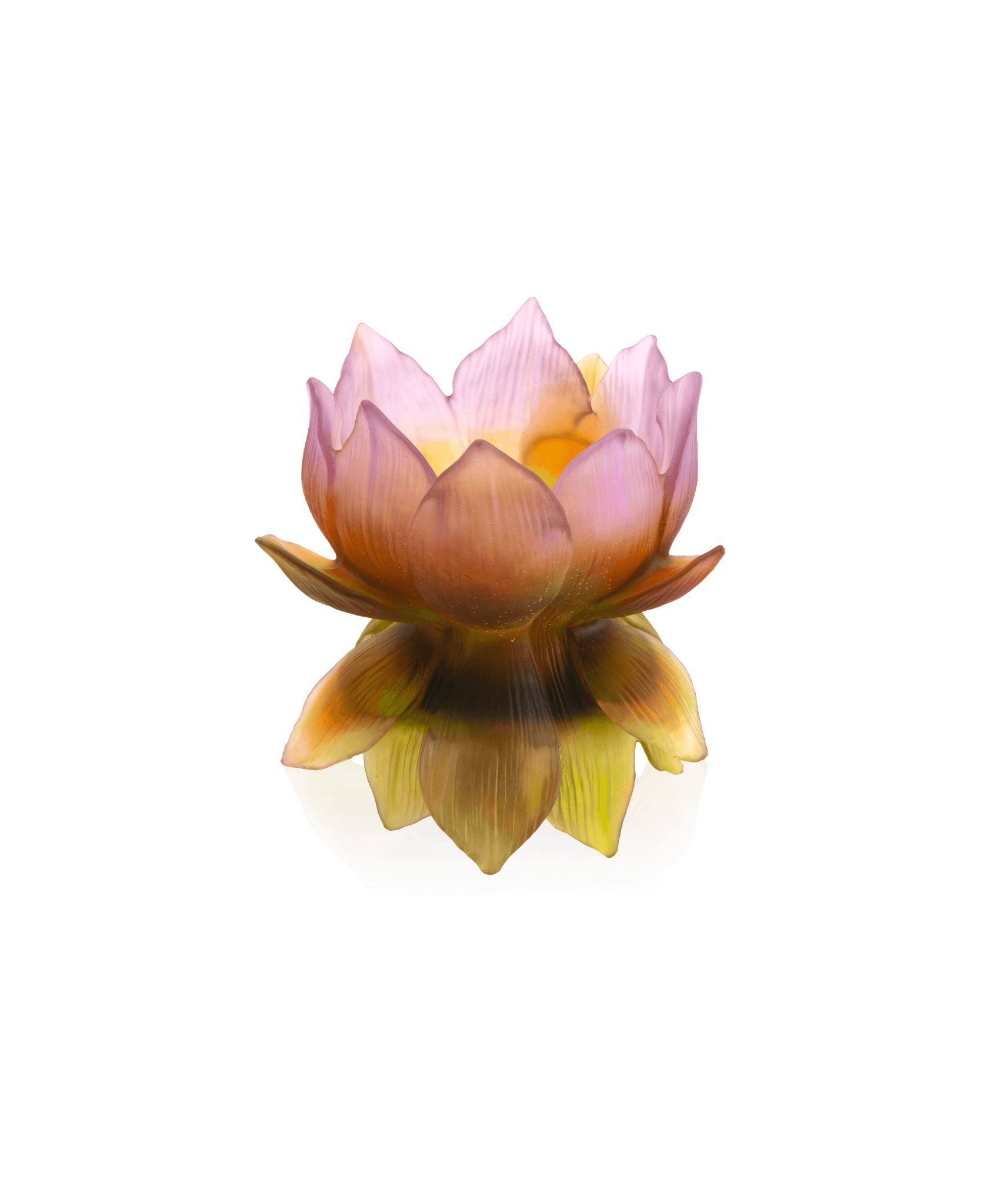 Daum Jardin De Lotus Medium Vase 175ex