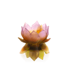 Daum Jardin De Lotus Medium Vase 175ex