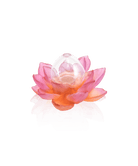 Daum Jardin De Lotus Soliflore Vase — Amber pink