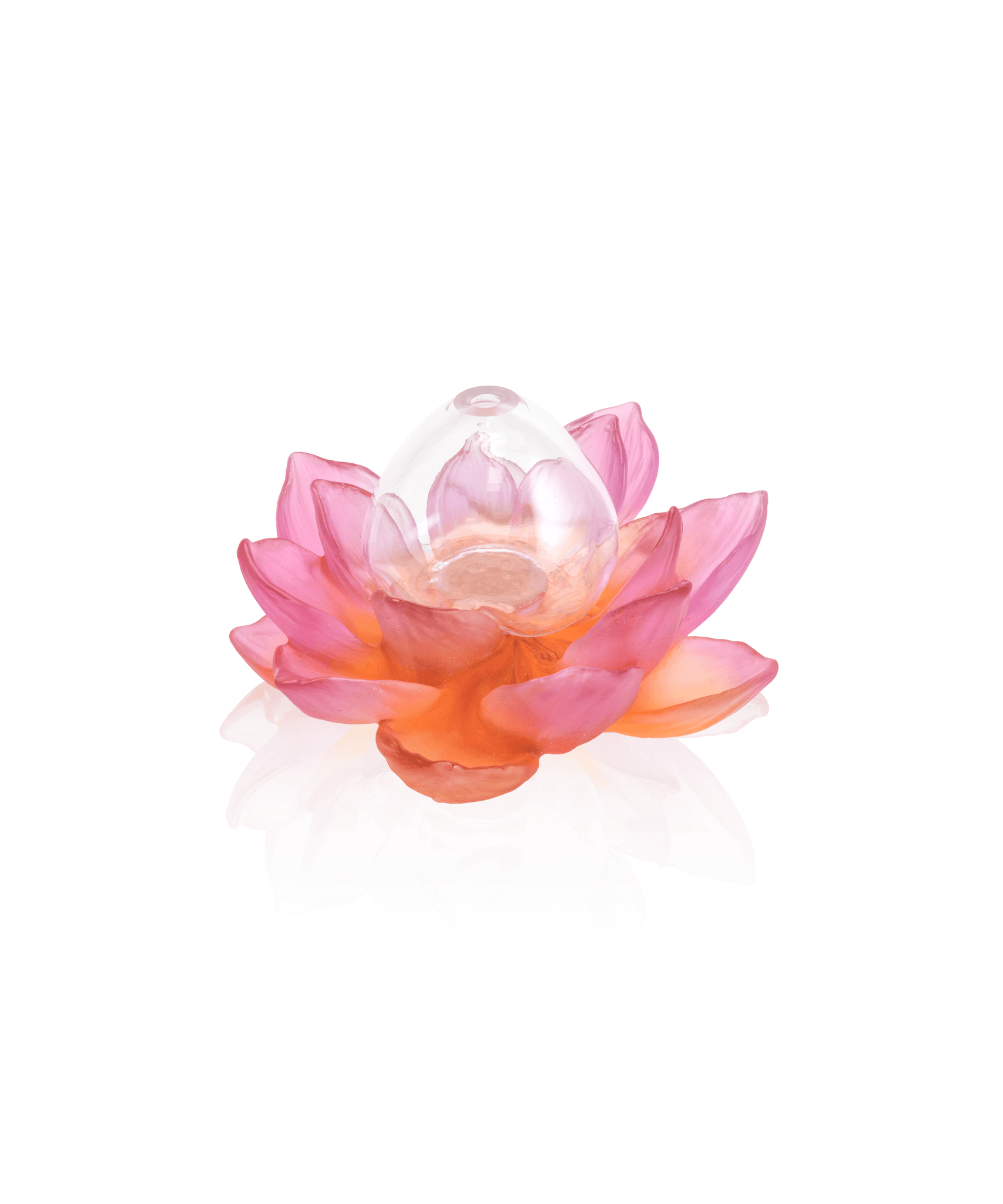 Daum Jardin De Lotus Soliflore Vase — Amber pink