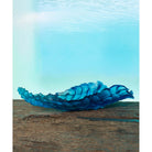 Daum Mer De Corail Centerpiece Sculpture, lifestyle view