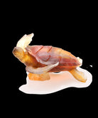 Daum Mer De Corail Large Sea Turtle Sculpture — Amber grey