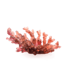 Daum Mer De Corail Medium Bowl Red — Amber