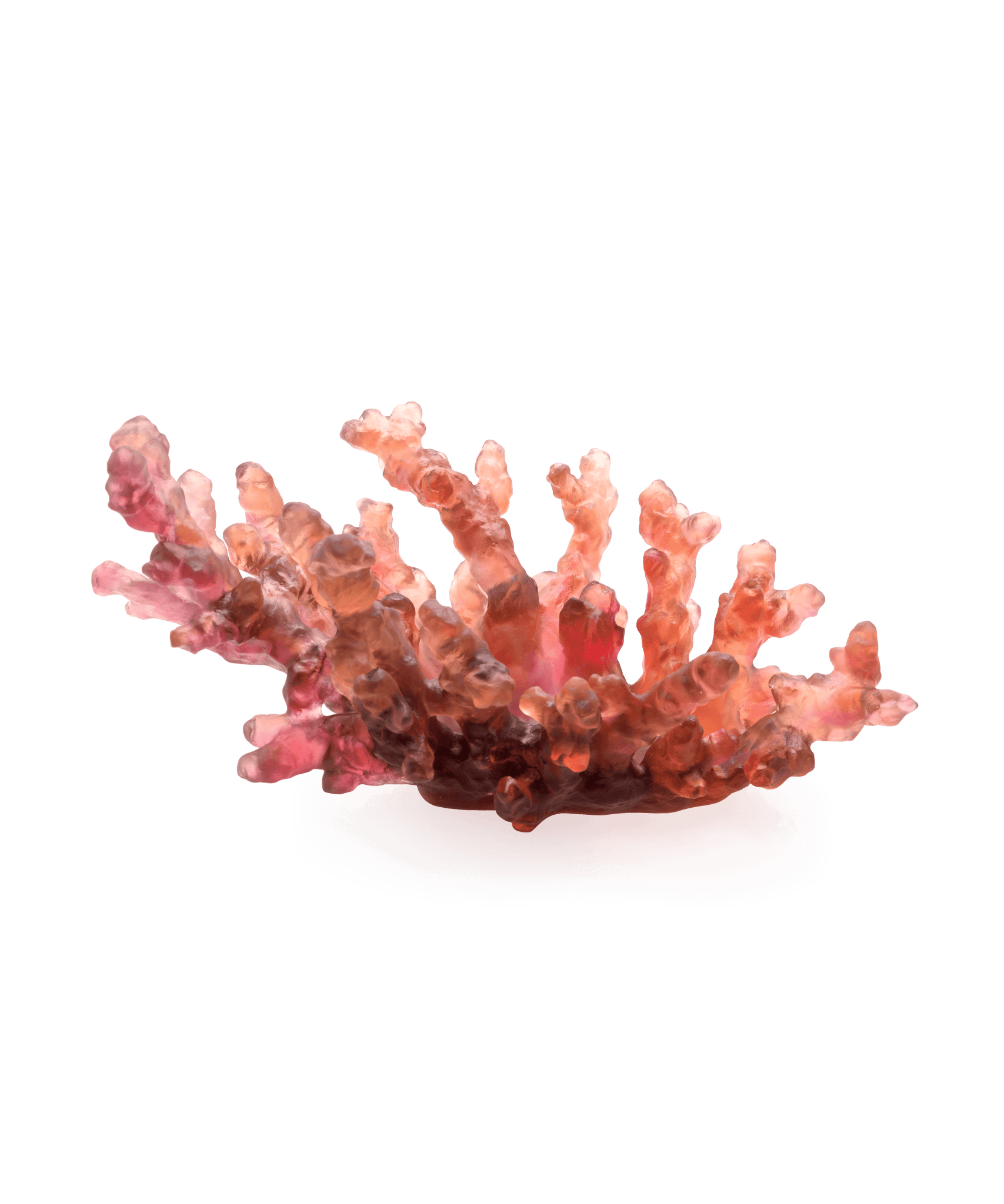 Daum Mer De Corail Medium Bowl Red — Amber