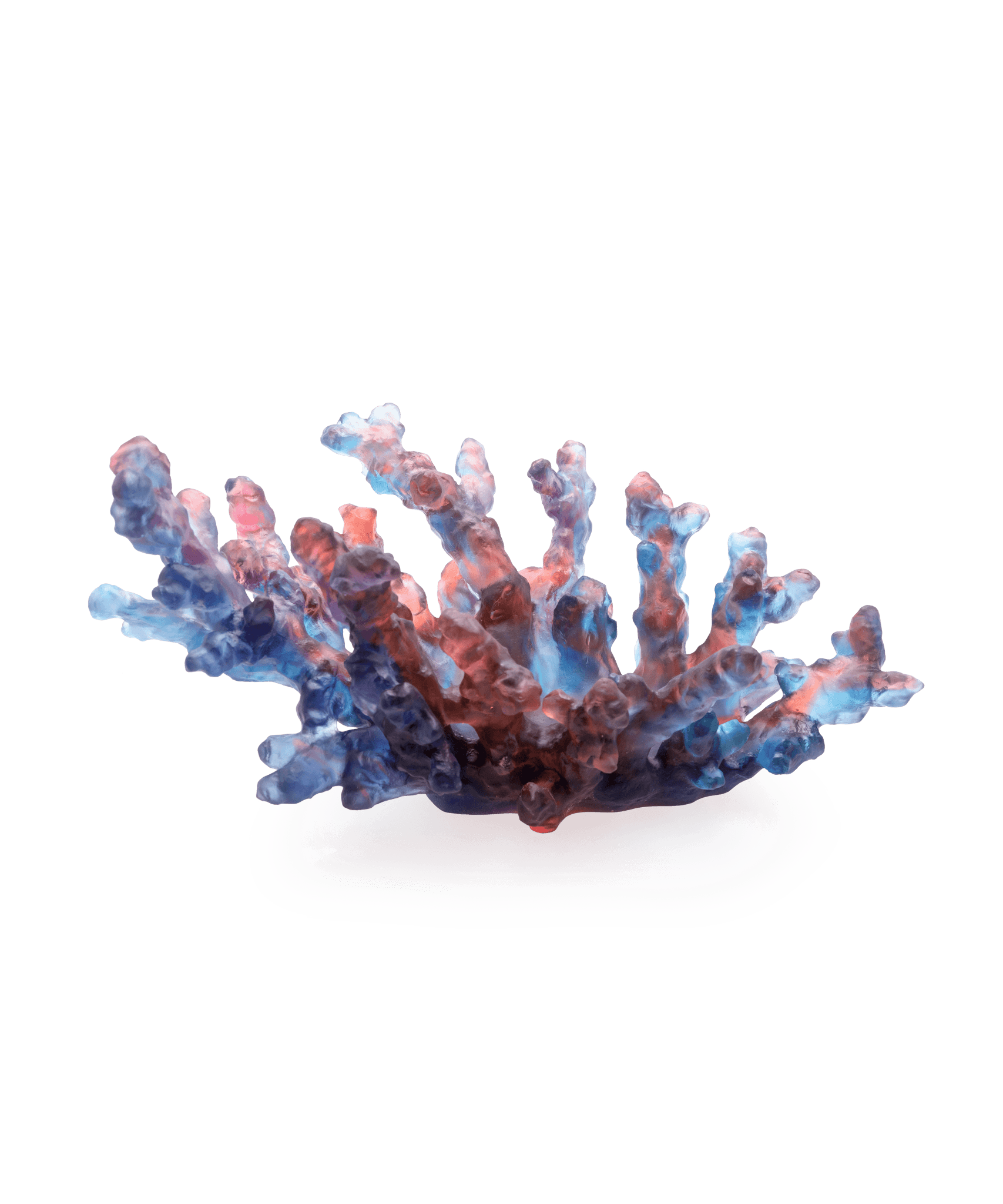 Daum Mer De Corail Medium Bowl Red — Blue and