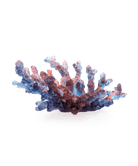 Daum Mer De Corail Medium Bowl Red — Blue and