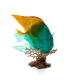 Daum Mer De Corail Royal Angelfish Sculpture — Amber and green 125ex