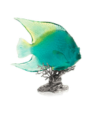 Daum Mer De Corail Royal Angelfish Sculpture — Turquoise