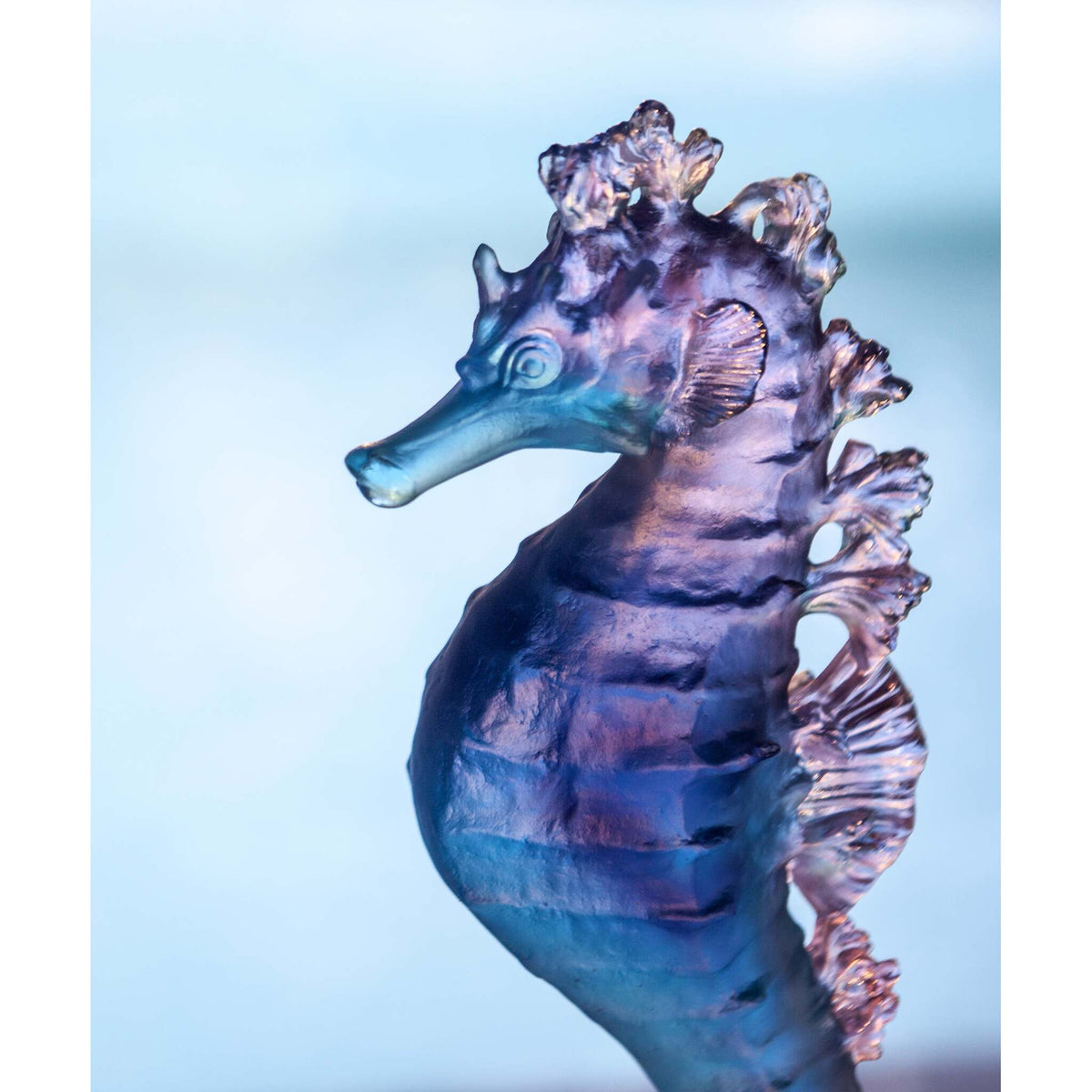 Daum Mer De Corail Seahorse Sculpture – Blue and pink, alternate view