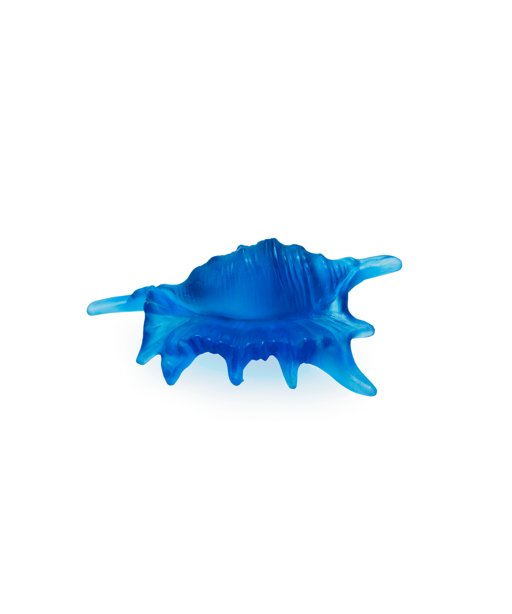 Daum Mer De Corail Small Shell Sculpture