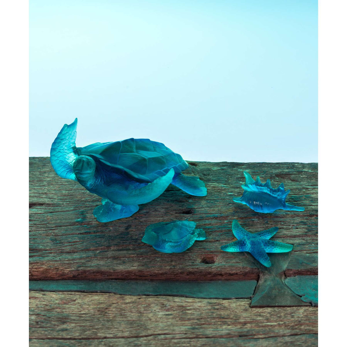 Daum Mer De Corail Small Shell Sculpture, alternate view