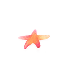 Daum Mer De Corail Starfish Sculpture — Amber red