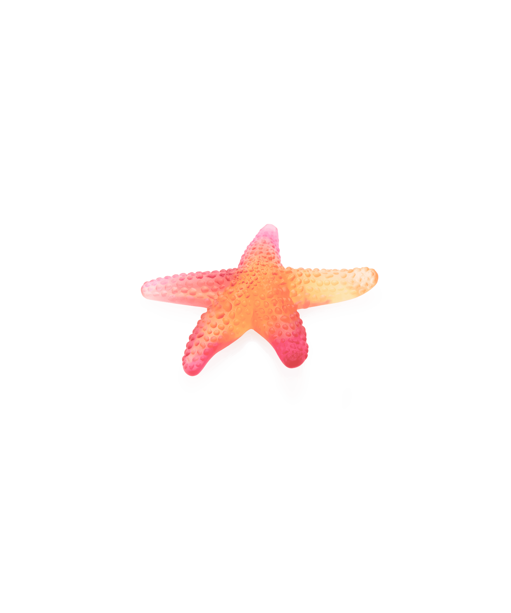Daum Mer De Corail Starfish Sculpture — Amber red