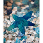 Daum Mer De Corail Starfish Sculpture – Blue, alternate view
