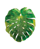 Daum Monstera Large Wall Lamp By Emilio Robba Wall Sconce — Green