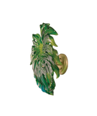 Daum Monstera Small Wall Leaf By Emilio Robba Wall Sculpture — long fixing Green