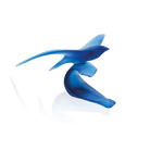 Daum Oiseau Marin By Xavier Carnoy 375ex Sculpture