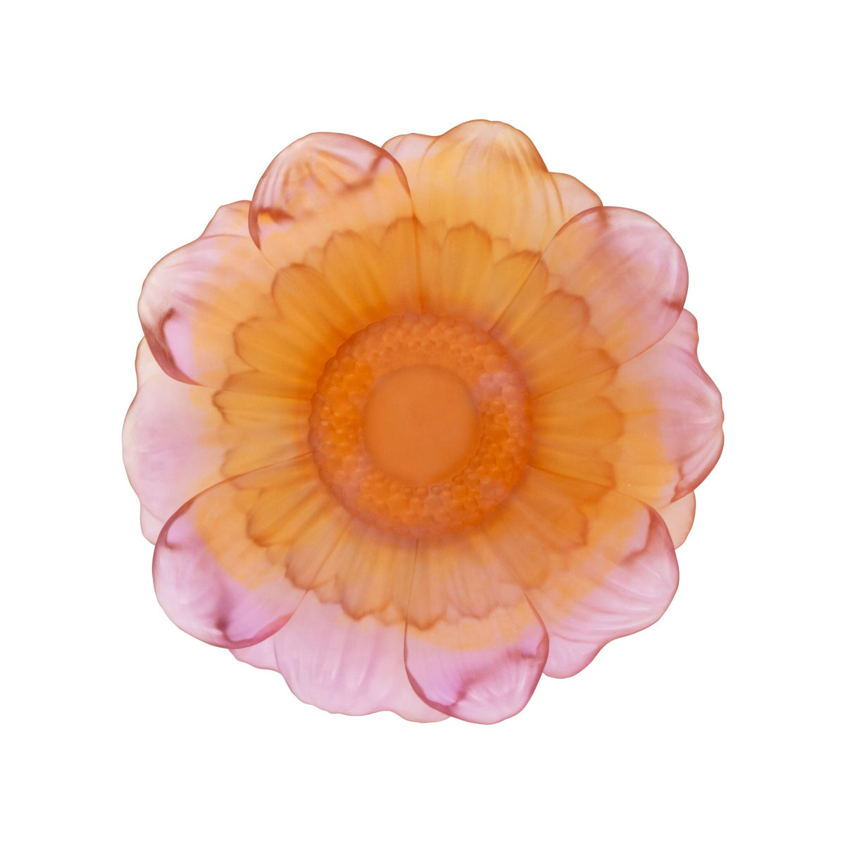 Daum Or D'Abeille Medium Presentation Flower Sculpture – Amber pink, alternate view