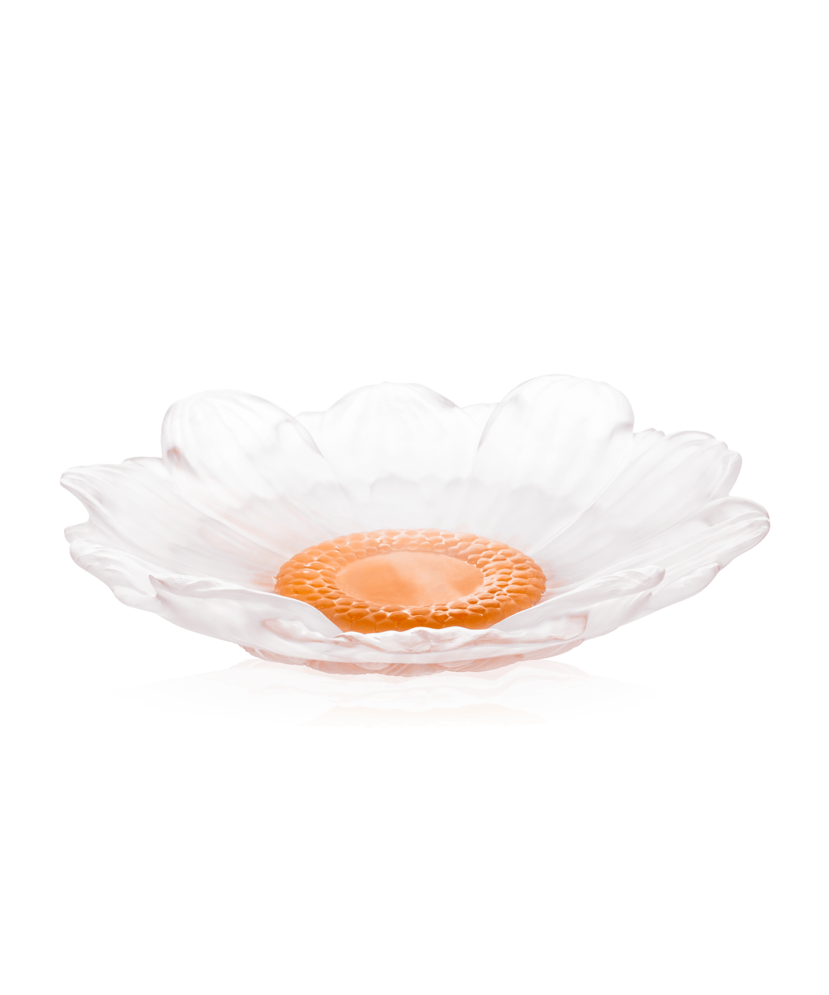 Daum Or D'Abeille Medium Presentation Flower Sculpture — White