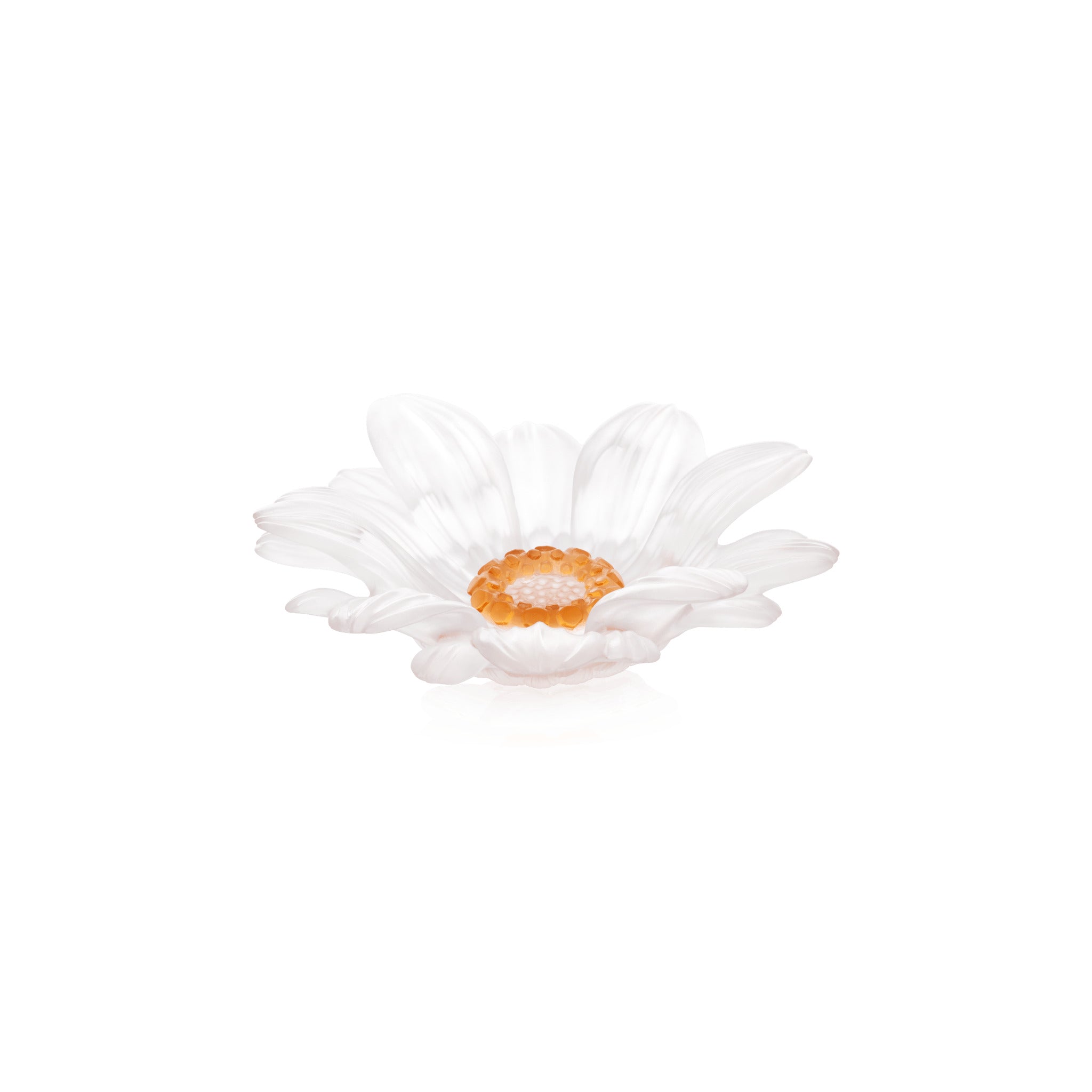 Daum Or D'Abeille Small Presentation Flower Sculpture — White