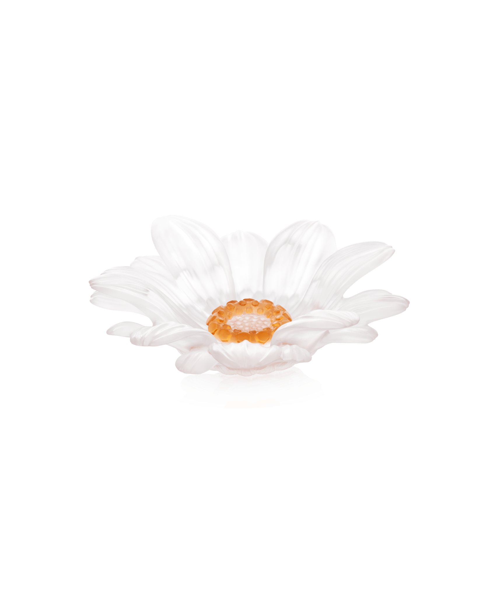Daum Or D'Abeille Small Presentation Flower Sculpture — White