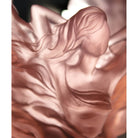 Daum Poétique By Tamara Ralph Magnum Vase By Tamara Ralph 99ex, alternate view