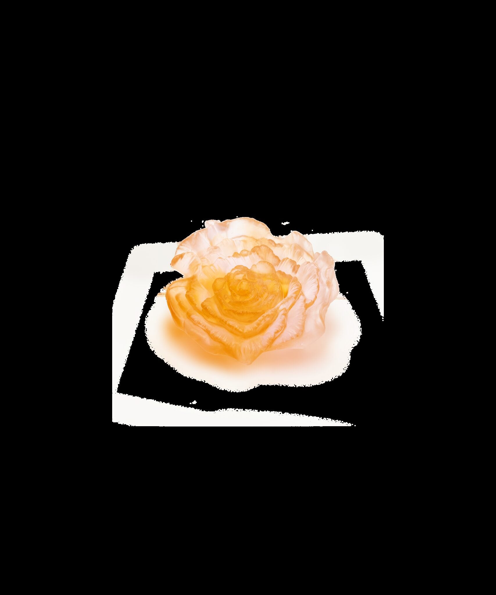 Daum Rose Royale Decorative Flower Sculpture