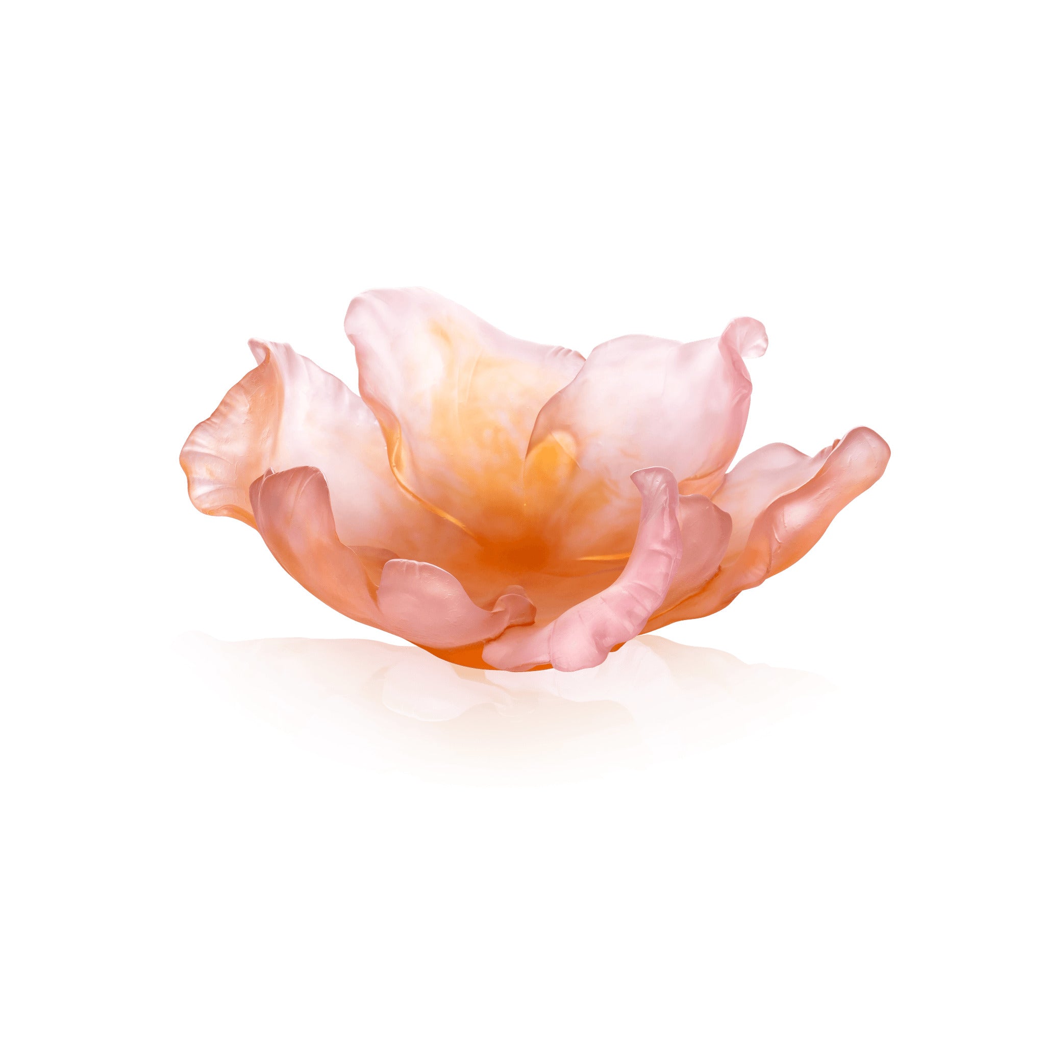 Daum Tulipe Bowl — Amber Pink 99ex
