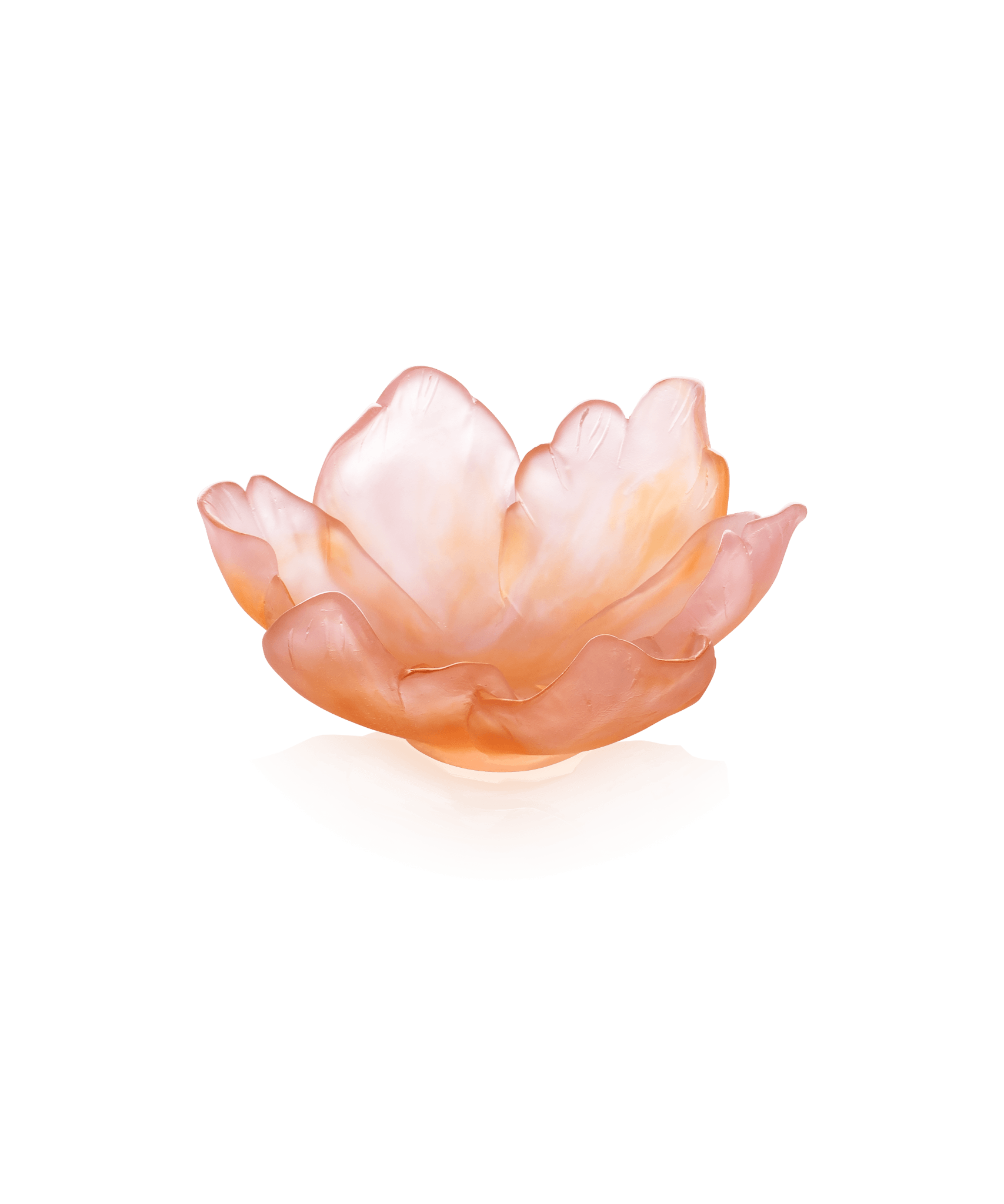 Daum Tulipe Small Bowl — Amber Pink 125ex