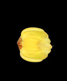Daum Tutti Frutti Bananas By Gilles Neveu 299ex Sculpture